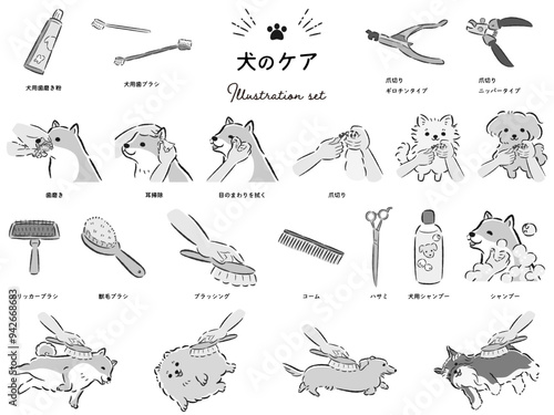 犬のケアのイラストセット