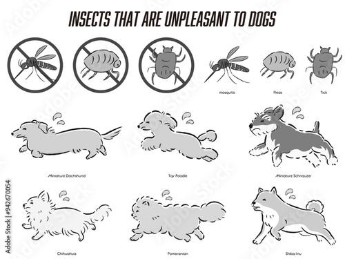 犬の虫対策のイラストセット