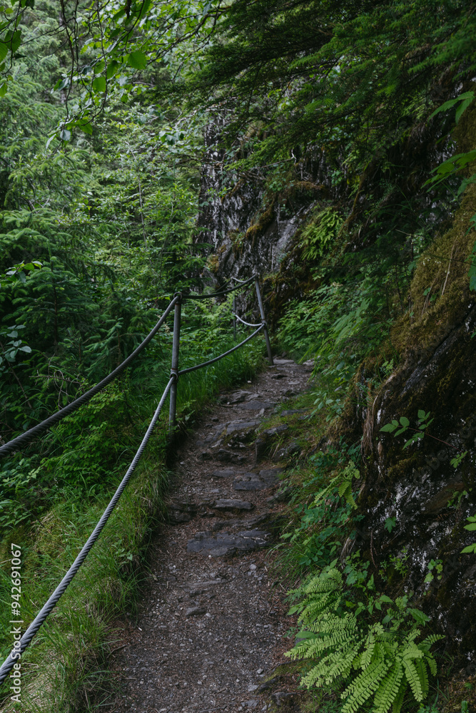 Hiking trail at Mendenhall Glacier in Tongass National Forest in Juneau Alaska Hiking trail at Mendenhall Glacier in Tongass National Forest in Juneau Alaska