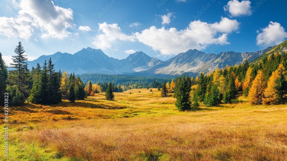 Tatra Mountains' autumn spectacle, Slovakia Tatra Mountains' autumn spectacle, Slovakia