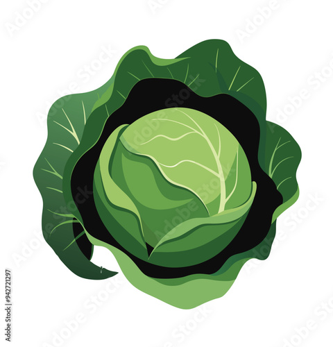  cabbage silhouette-vector