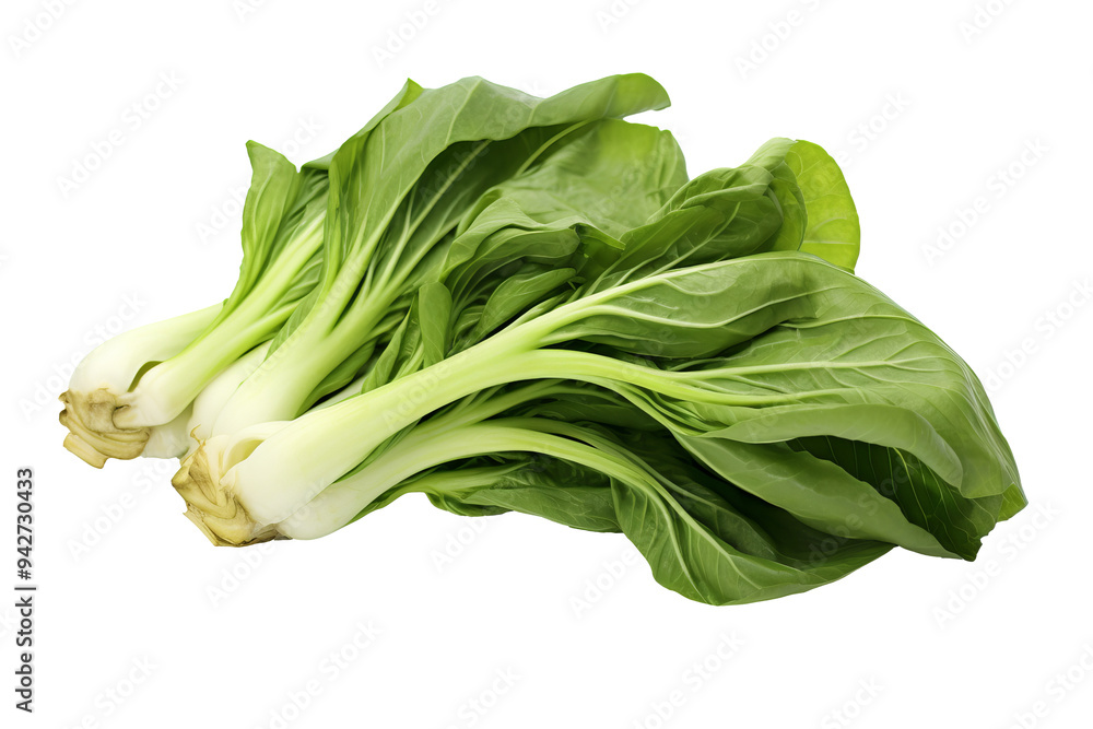 Fresh organic Bok choy isolated on transparent background for culinary creations, health-conscious designs, and Asian-inspired recipes Fresh organic Bok choy isolated on transparent background for culinary creations, health-conscious designs, and Asian-inspired recipes