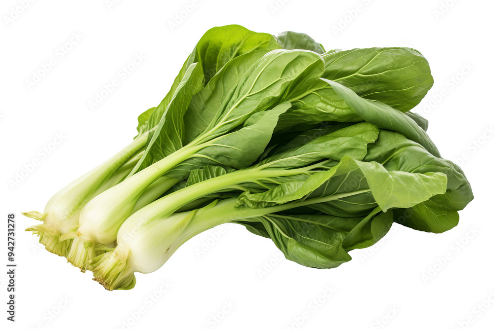 Fresh organic Bok choy isolated on transparent background for culinary creations, health-conscious designs, and Asian-inspired recipes Fresh organic Bok choy isolated on transparent background for culinary creations, health-conscious designs, and Asian-inspired recipes