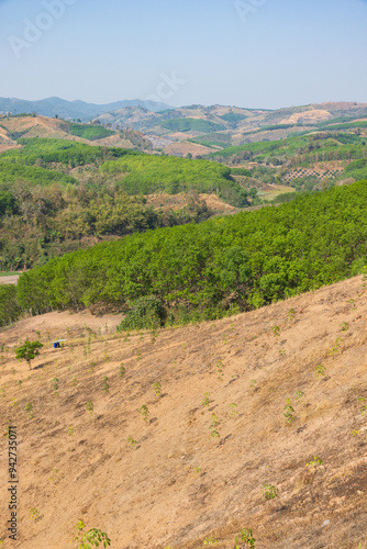 The biggest cause of forest loss is agricultural deforestation ,environmental damage in Southeast Asia , global warming and environment. photo