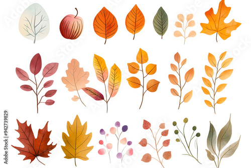 Watercolor autumn yellow leaves and plants collection isolated on white background