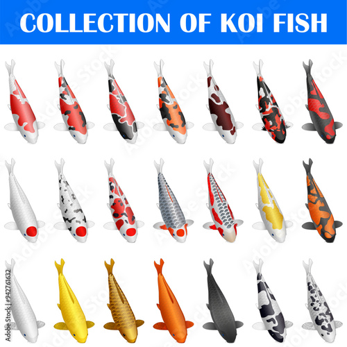 Koi fish icon set. Cartoon set of koi fish icons for web design. Vector illustration.
