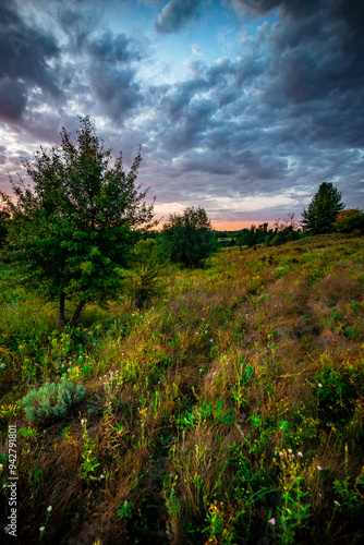 Summer sunrise in the forest . Woodlands at summer . Landscape with beautiful forest and trees , purple sky , sunrise in the sky . Green woods , morning forest . Mystery landscape . Wild nature 