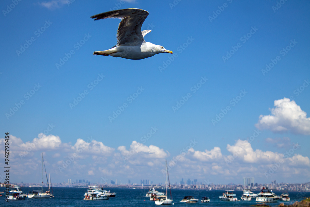 Beautiful panoramic view of Istanbul city and Marmara sea from the shores of Princes' Islands on a sunny summer day and copy space Beautiful panoramic view of Istanbul city and Marmara sea from the shores of Princes' Islands on a sunny summer day and copy space