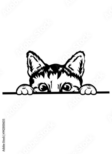Peeking Cat | Domestic Animal | Cat Lover | Peeking Animal |  Cat | Curios Cat | Cute Cat Face | Kitten | Original Illustration | Vector and Clipart | Cutfile and Stencil