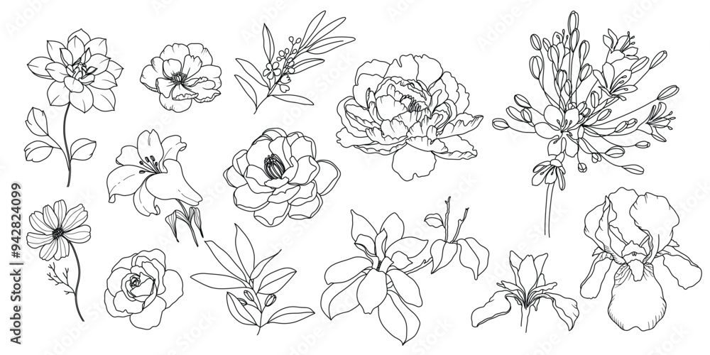 Fototapeta premium minimal line flower and botanical graphic sketch drawing, trendy tiny tattoo design, floral elements vector illustration