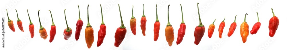 A group of fresh cayenne peppers, also known as Cabai rawit, cili padi, siling labuyo, phrik khi nu, Tabasco chili pepper, or bird's eye chili pepper, arranged in a row, isolated on a white background A group of fresh cayenne peppers, also known as Cabai rawit, cili padi, siling labuyo, phrik khi nu, Tabasco chili pepper, or bird's eye chili pepper, arranged in a row, isolated on a white background