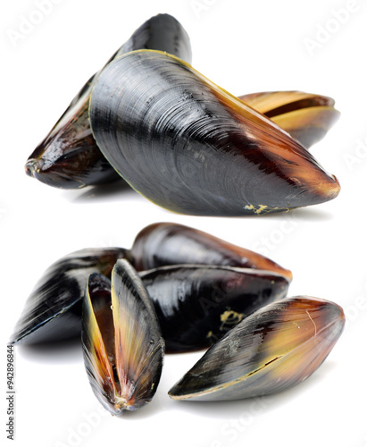 mussels isolated on white background