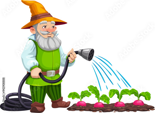 Gnome dwarf character watering the crops. Isolated cartoon vector elf gardener personage tends to vegetables, joyfully watering the garden with a hose, creating magical scene of enchanting cultivation