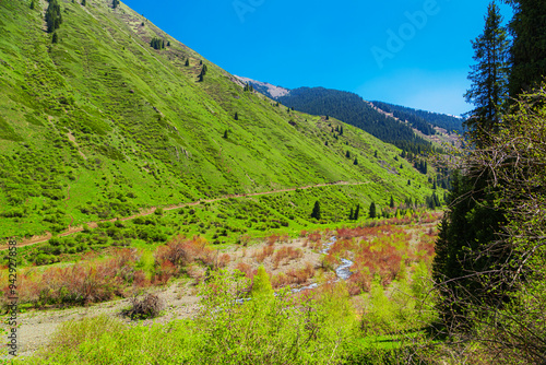 View of the  Ile Alatau  mountains in the national natural park on a bright sunny day. photo