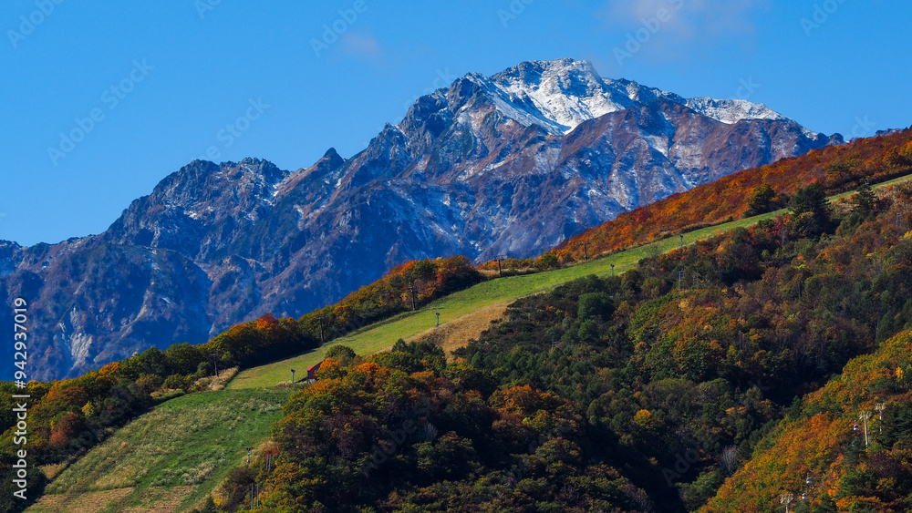 Fototapeta premium 紅葉の北アルプスの山並み 長野県白馬村