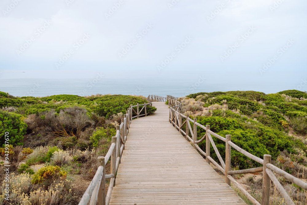 Fototapeta premium A wooden walkway winds through lush coastal vegetation, directing attention towards the calm sea. The overcast sky adds a serene atmosphere.