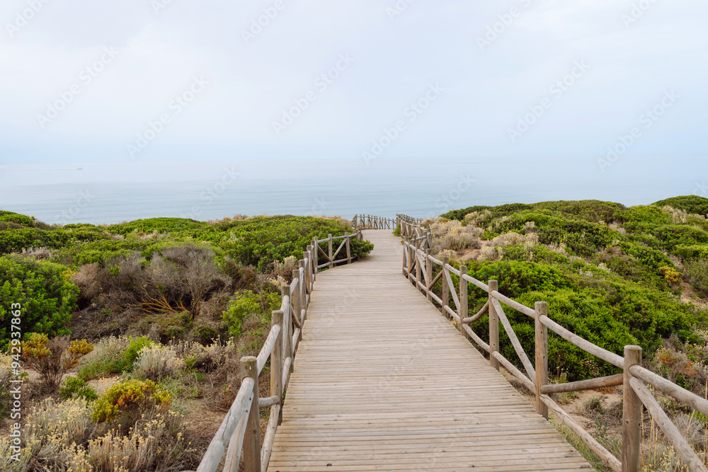 A wooden walkway winds through lush coastal vegetation, directing attention towards the calm sea. The overcast sky adds a serene atmosphere. A wooden walkway winds through lush coastal vegetation, directing attention towards the calm sea. The overcast sky adds a serene atmosphere.