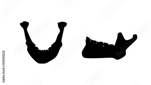 Human jaw, black isolated silhouette