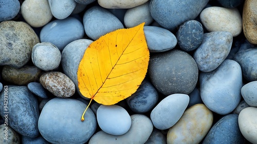 A single yellow leaf rests on a bed of smooth, blue-grey river stones.