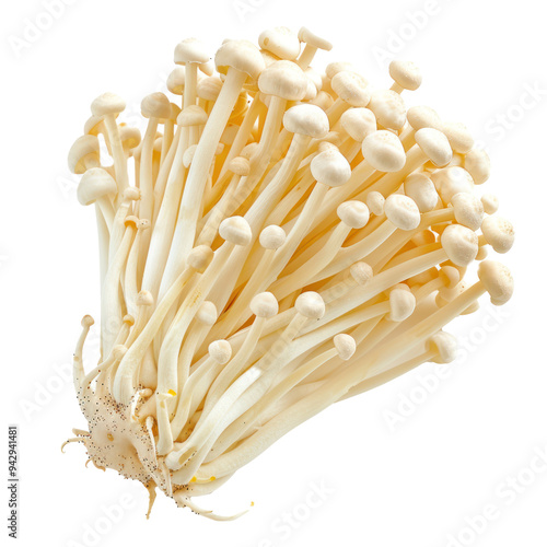 Enoki mushrooms on transparent background.  photo