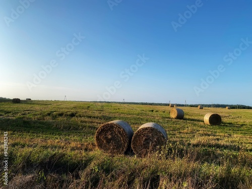 field after mown straw