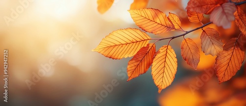 Closeup of autumn leaves gently rustling in the breeze, warm sunlight filtering through, Autumn leaves, peaceful nature scene