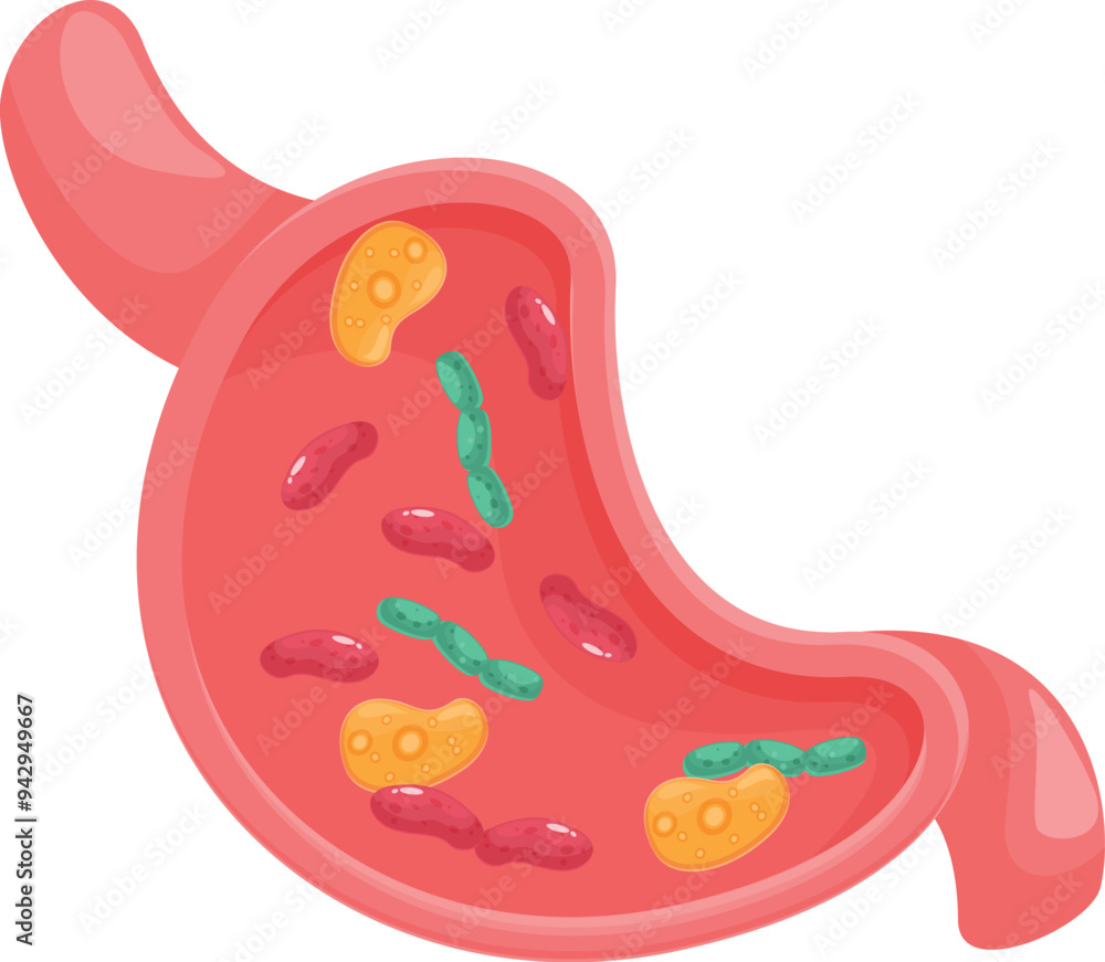 Obraz premium Cartoon style illustration of a human stomach showing bacteria inside