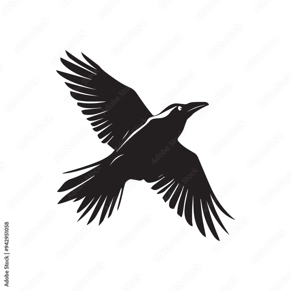 Fototapeta premium Silhouette crow bird fly black color only full body