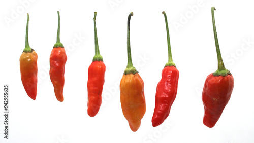 A group of fresh cayenne peppers, also known as Cabai rawit, cili padi, siling labuyo, phrik khi nu, Tabasco chili pepper, or bird's eye chili pepper, arranged in a row, isolated on a white background photo