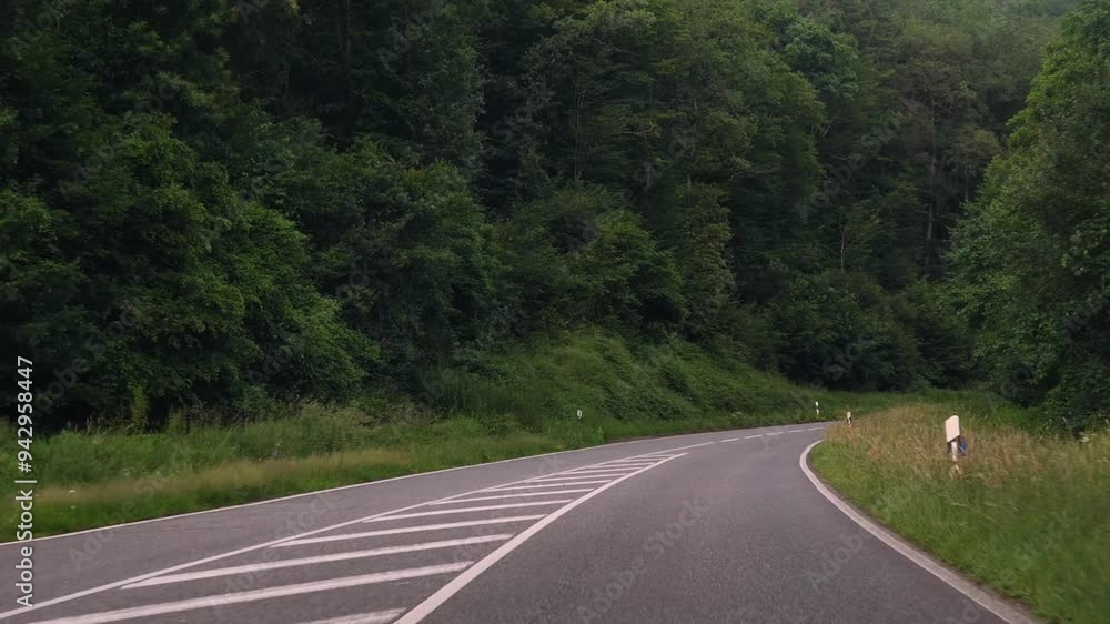 A tranquil road beautifully dividing the dense greenery, making it perfect for nature and travelthemed experiences A tranquil road beautifully dividing the dense greenery, making it perfect for nature and travelthemed experiences