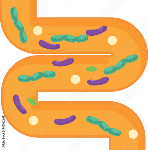 Stylized depiction of the inside of a human intestine with good and bad bacteria showing the importance of microbiome for health