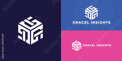 Modern hexagon initial letter GI or IG in white color isolated on multiple background colors. The logo is suitable for senior living software logo design inspiration templates.