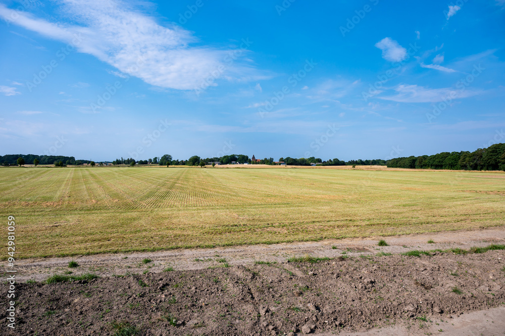 Farmland with wheatfields and grasses at the Danish countryside around Rodby, Denmark Farmland with wheatfields and grasses at the Danish countryside around Rodby, Denmark