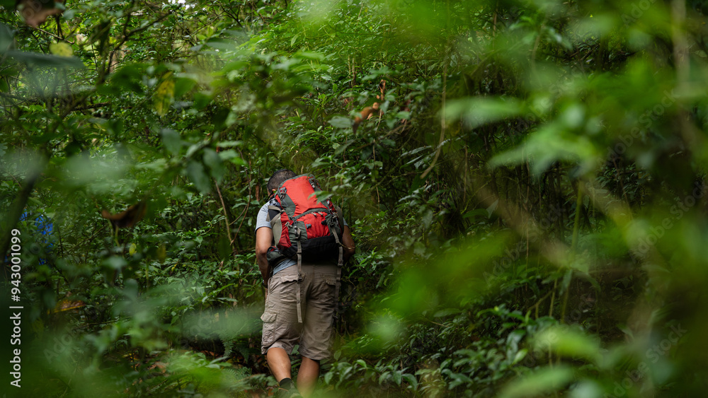 Male hiker exploring the lush greenery of Pico Blanco Male hiker exploring the lush greenery of Pico Blanco