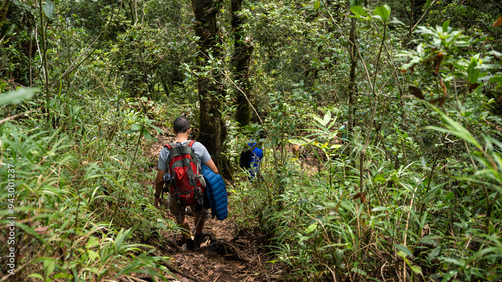 Male hiker trekking through Pico Blanco's dense forest Male hiker trekking through Pico Blanco's dense forest