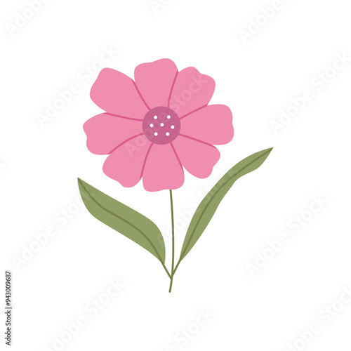 Wild flower illustration