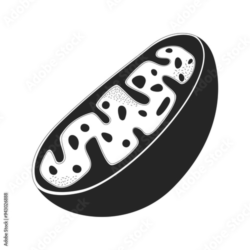 Cell educative model black and white 2D line object. Learning biology lesson. Natural science class isolated vector outline item. School education essentials monochromatic flat spot illustration