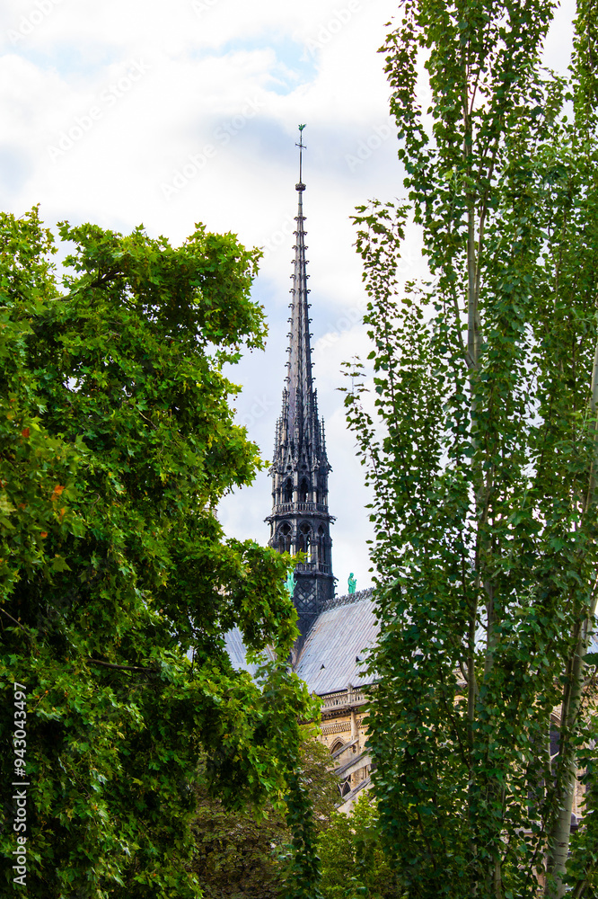Obraz premium Notre Dame cathedral black spire before the fires viewed between green tree branches.
