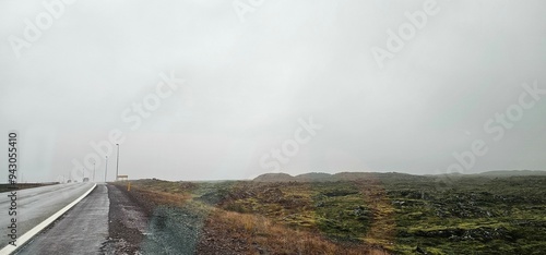 morning in the fog