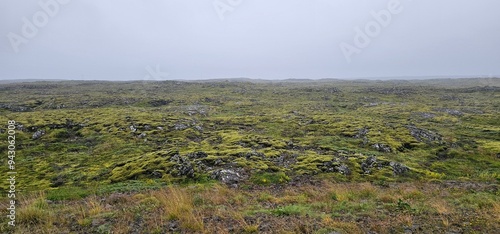 field