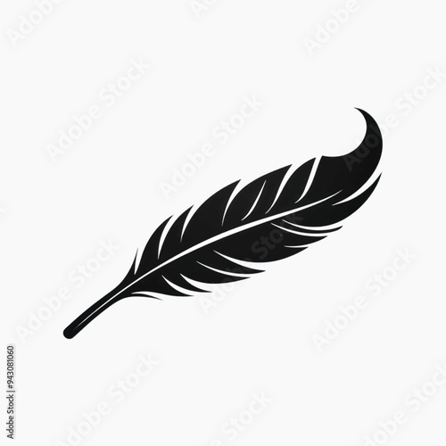 Elegant black feather silhouette