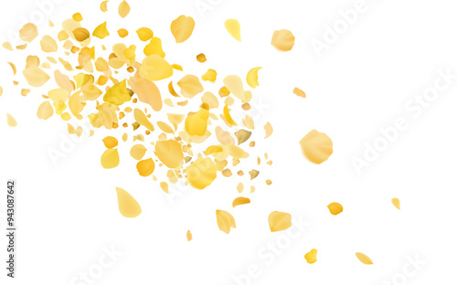 Yellow falling rose or sunflowers petals.Transparent panoramic horizontal background.Amber flower spring template.