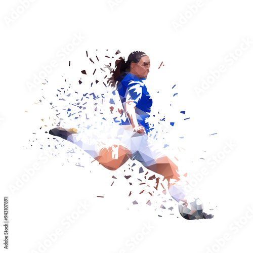 Football women, female soccer player kicking ball, isolated vector silhouette, ink drawing, Football women, female soccer player kicking ball, low poly isolated vector illustration, geometric drawing