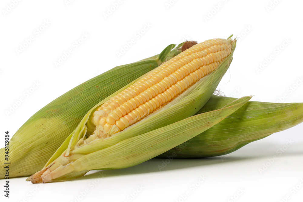 Sweet Corn Isolated on White Background Sweet Corn Isolated on White Background