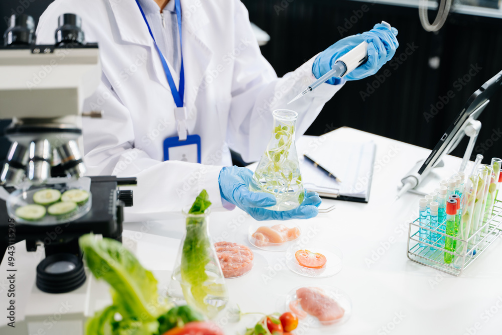 Food science as lab scientists test and analyze vegetables for safety and quality using advanced technology Food science as lab scientists test and analyze vegetables for safety and quality using advanced technology