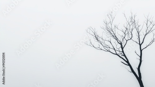 Wallpaper Mural Minimalist winter tree against foggy sky depicting serenity and isolation Torontodigital.ca