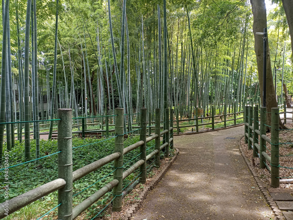Suzume-no-oyado Ryokuchi Bamboo Park in Tokyo, Japan Suzume-no-oyado Ryokuchi Bamboo Park in Tokyo, Japan