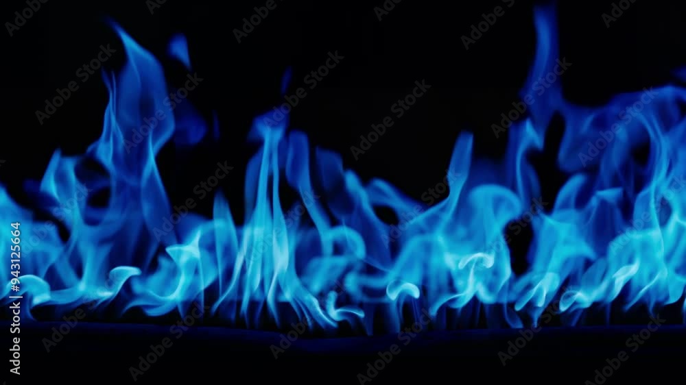 Gas burns with a blue flame. Burning Blue Fire. Bright blue burning flames on a black background. Fire in slow motion. Wall of Real fire, abstract background. Super slow motion video Gas burns with a blue flame. Burning Blue Fire. Bright blue burning flames on a black background. Fire in slow motion. Wall of Real fire, abstract background. Super slow motion video