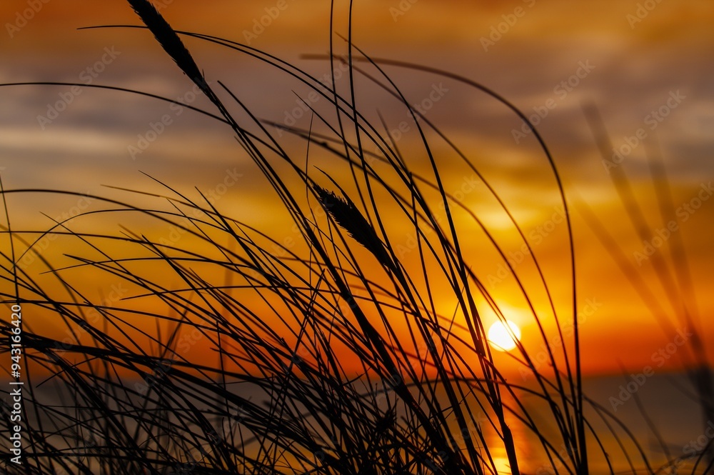 sunset in the field sunset in the field