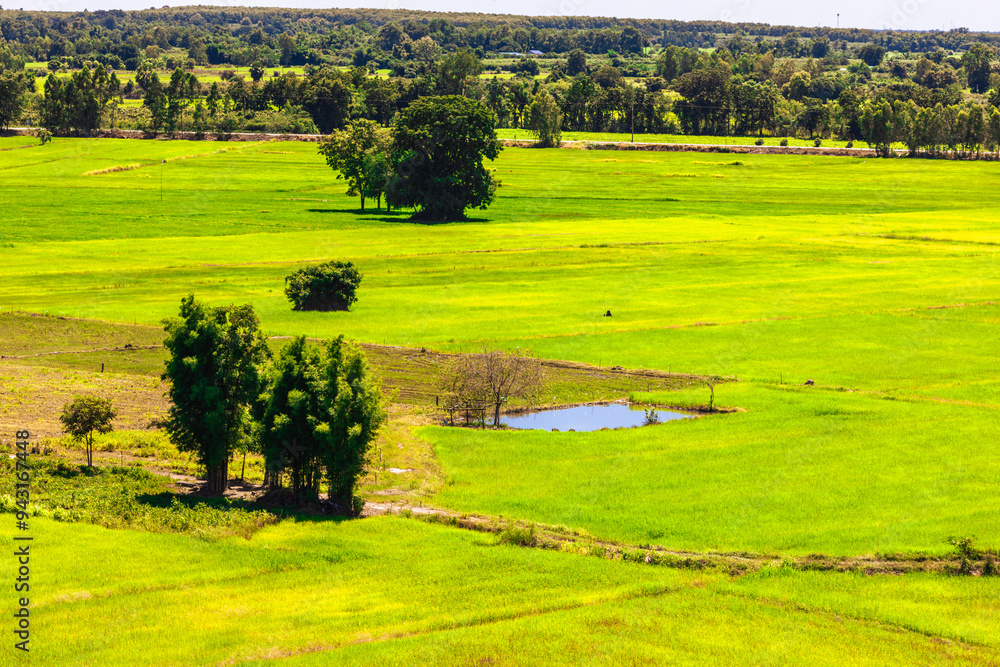 Obraz premium Close-up wallpaper view of nature (mountains, rivers, mangroves), the blurring of the wind blowing through the leaves, the beauty of the ecosystem while traveling